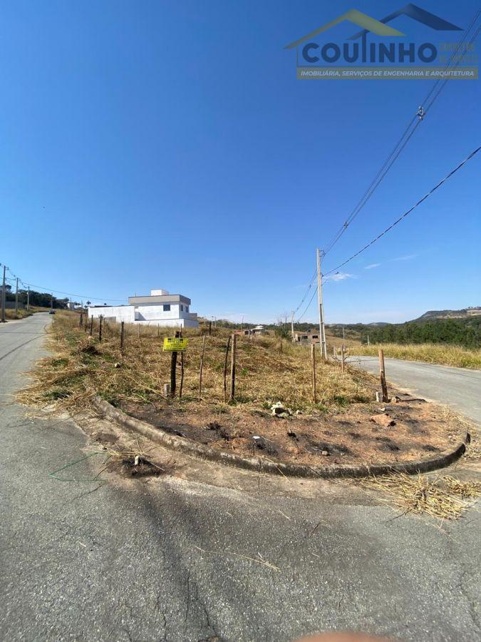 WhatsApp Image 2025-08-28 at 09.54.42.jpeg